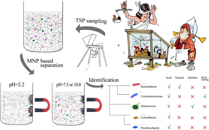 GRAPHICAL ABSTRACT