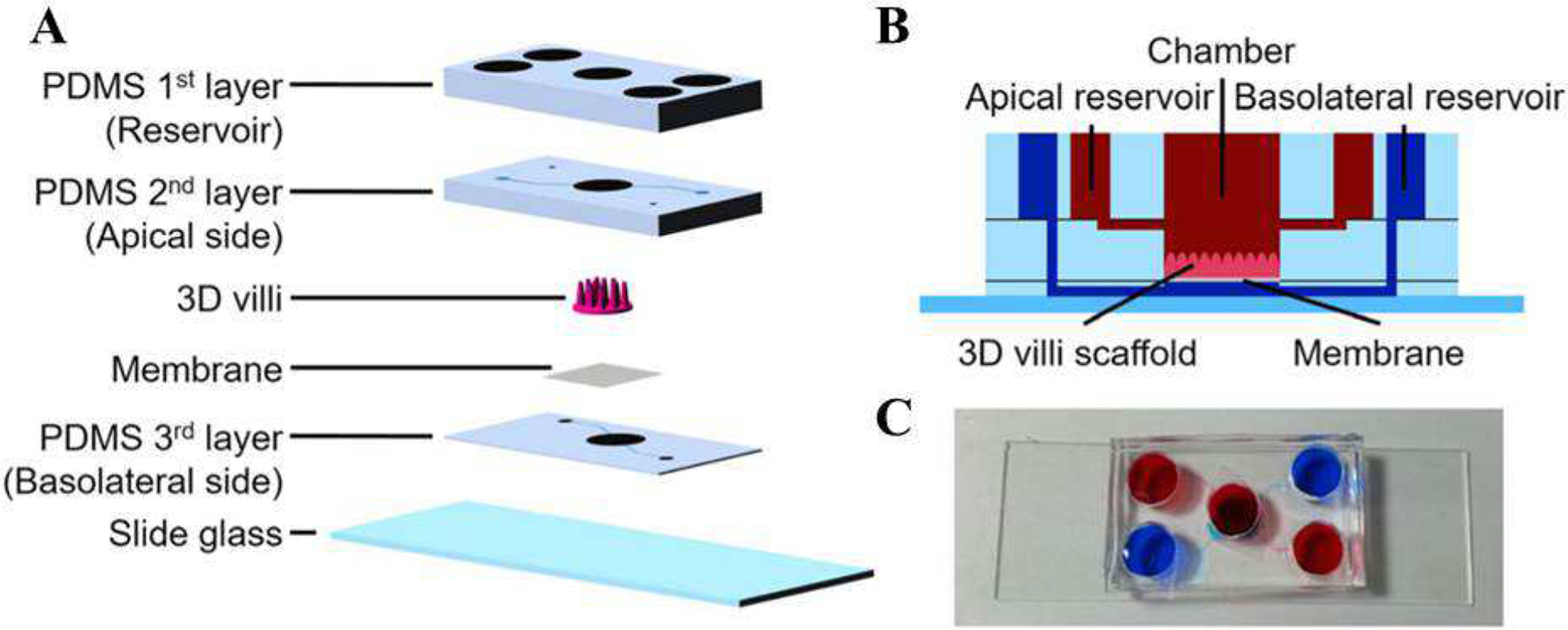 Figure 4.