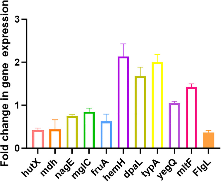 Figure 5