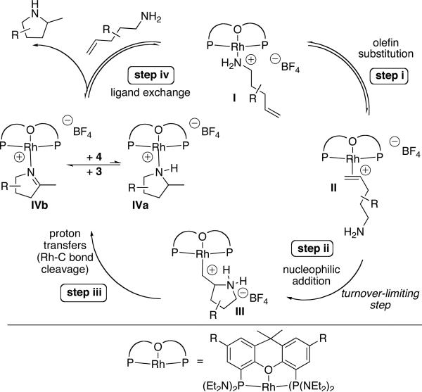 Scheme 4