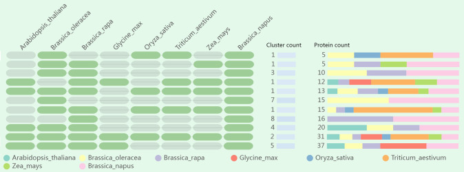 Figure 7