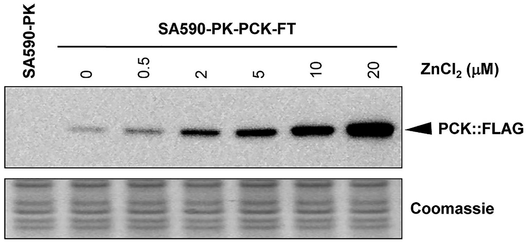 Fig. 5.