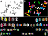 <b>Figure 4.</b>