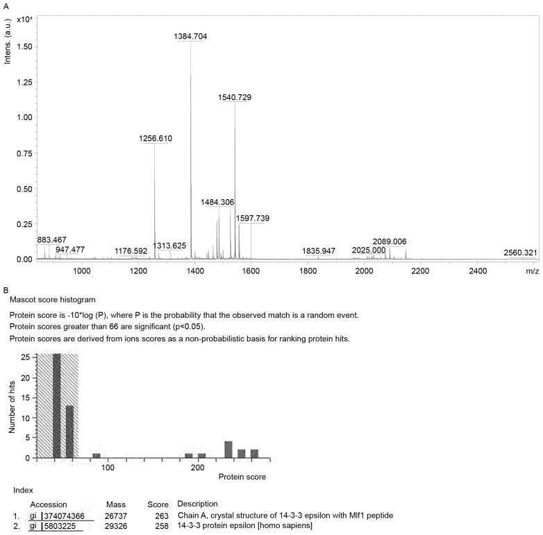 Figure 2.