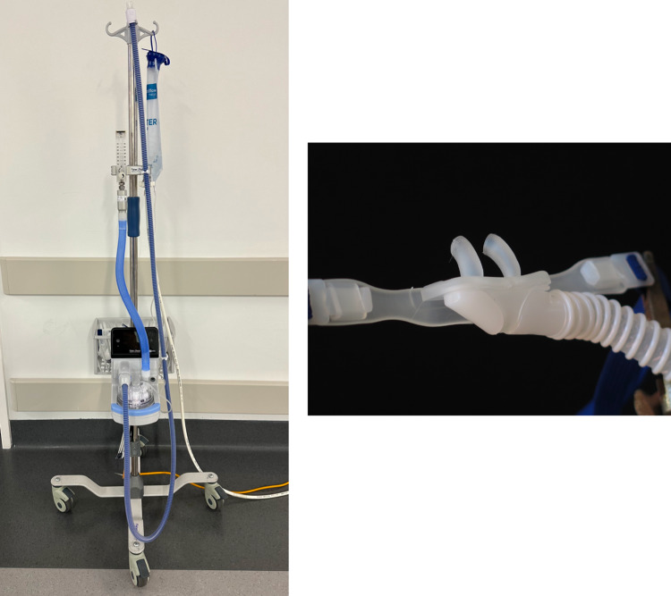 Fig. 1