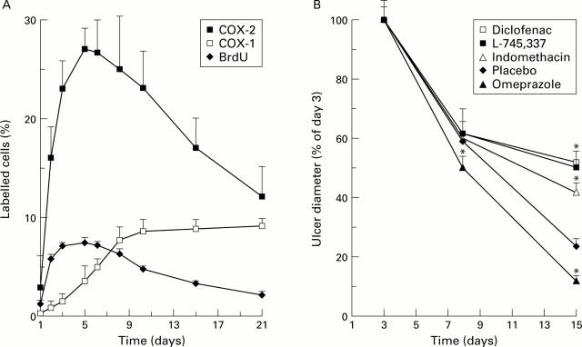 Figure 4  