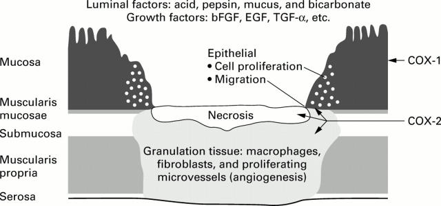 Figure 3  