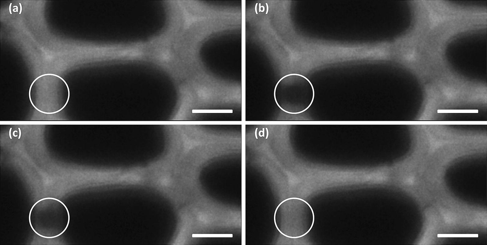 Fig. 3