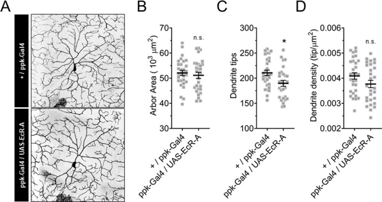 Figure 4—figure supplement 1.