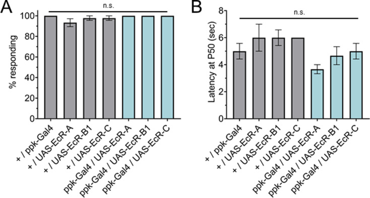 Figure 4—figure supplement 2.