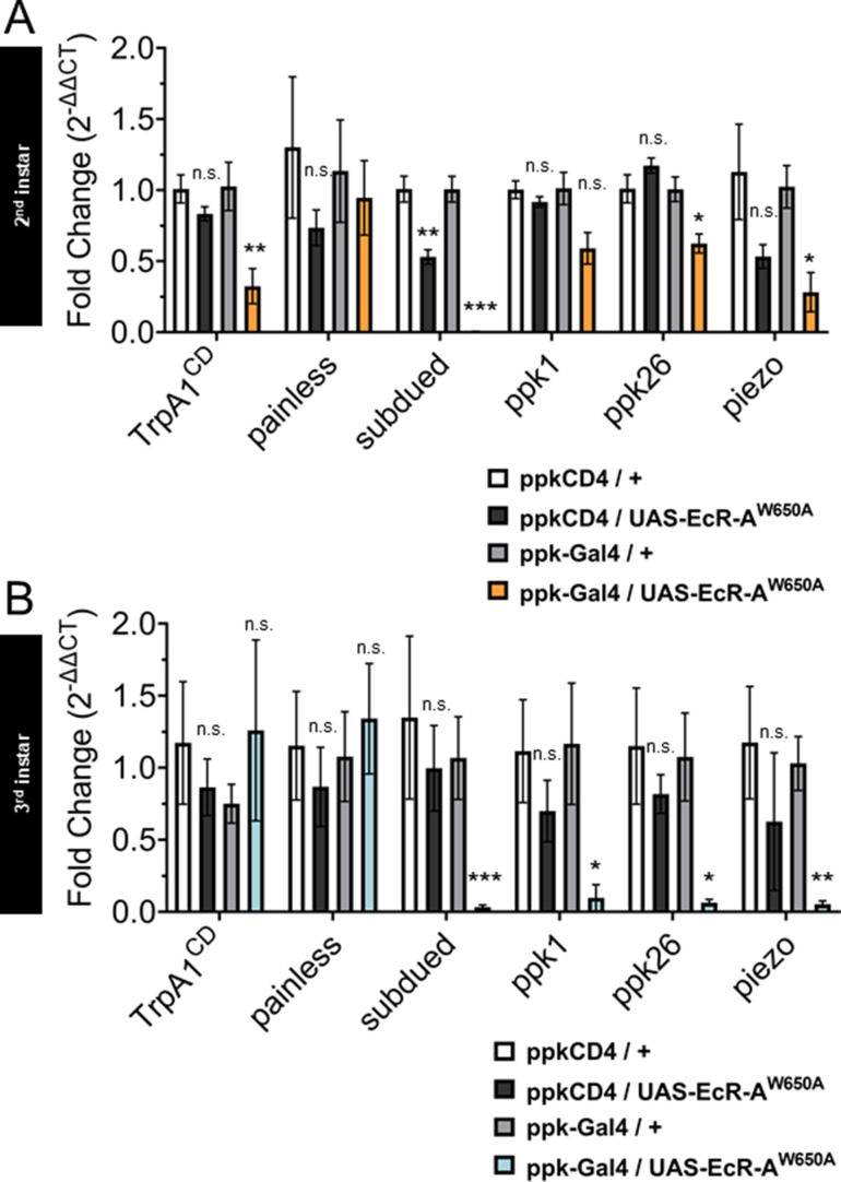 Figure 5—figure supplement 1.