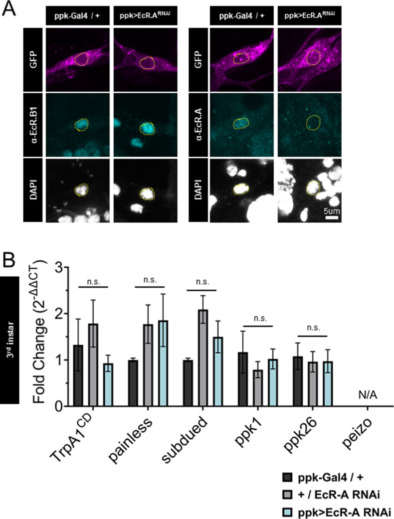 Figure 5—figure supplement 2.