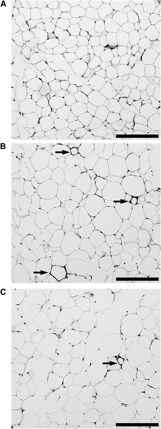 FIGURE 3 