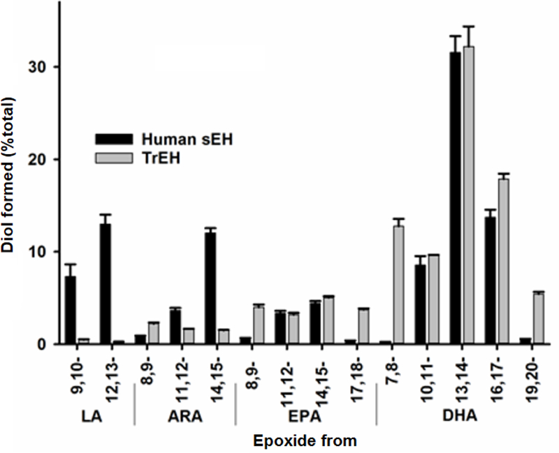 Figure 1 –