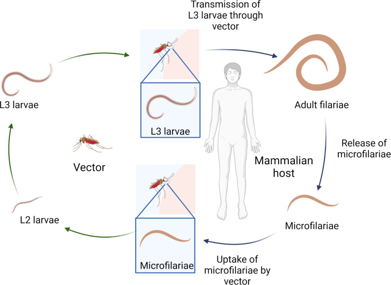 Figure 1