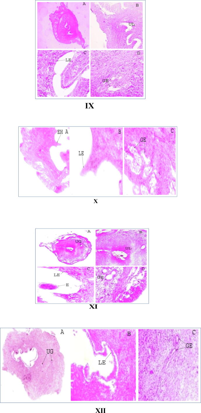 Fig. 5