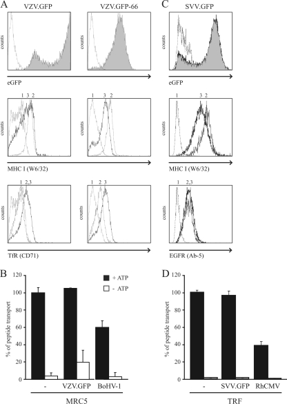 FIG. 6.