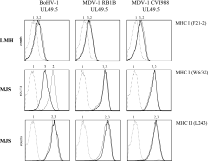 FIG. 7.