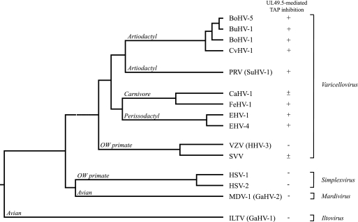 FIG. 9.