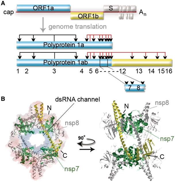 Figure 1.