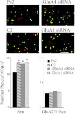 Fig. 9.