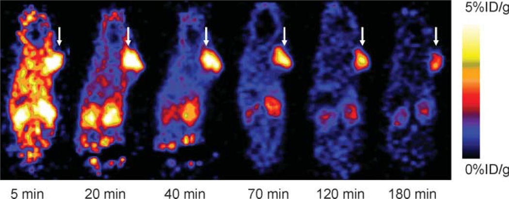 FIGURE 4