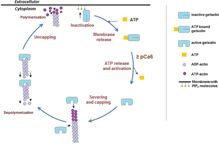 Fig 4