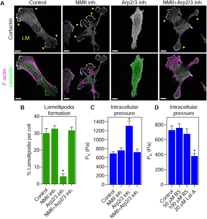 FIGURE 6: