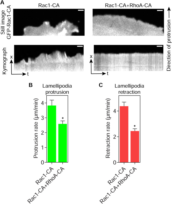 FIGURE 4: