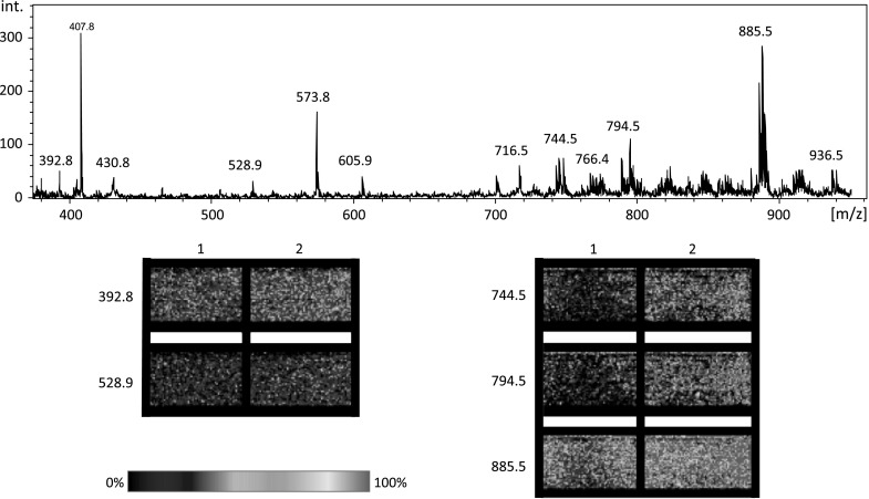 Fig. 4