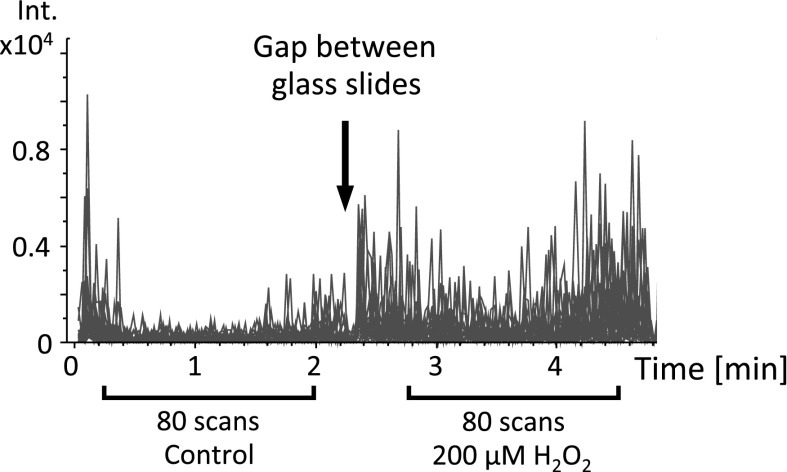 Fig. 3