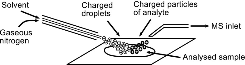 Fig. 1