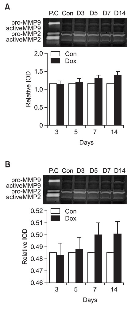 Fig. 8.