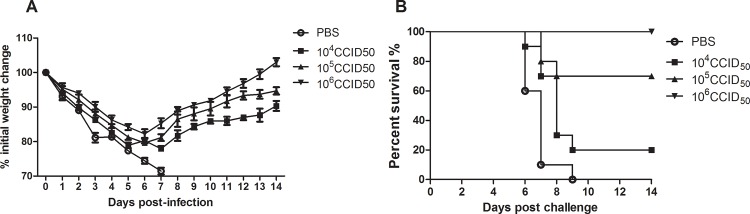 Fig 5