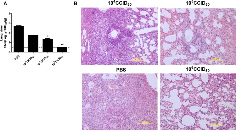 Fig 6