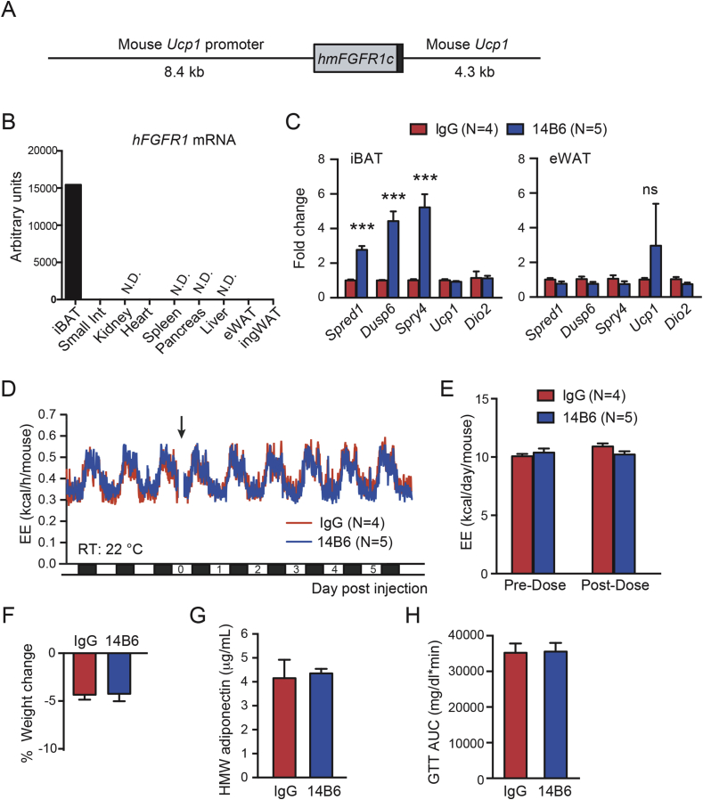 Figure 6