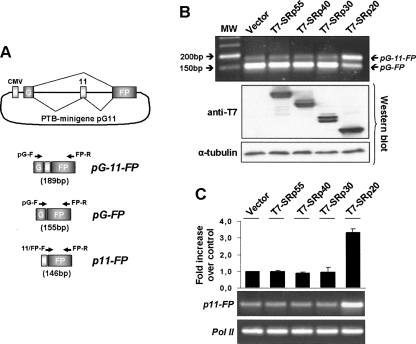 FIGURE 6.