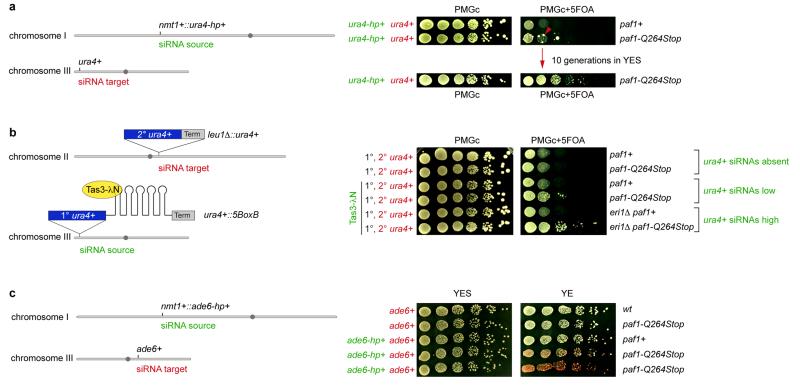 Extended Data Figure 5