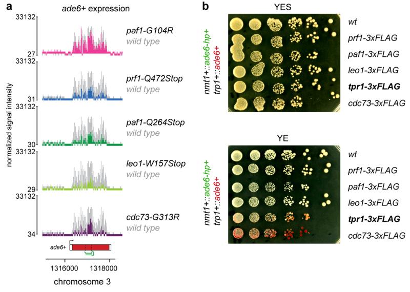 Extended Data Figure 4