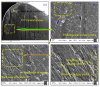 Figure 24