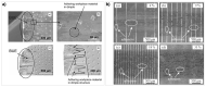 Figure 27