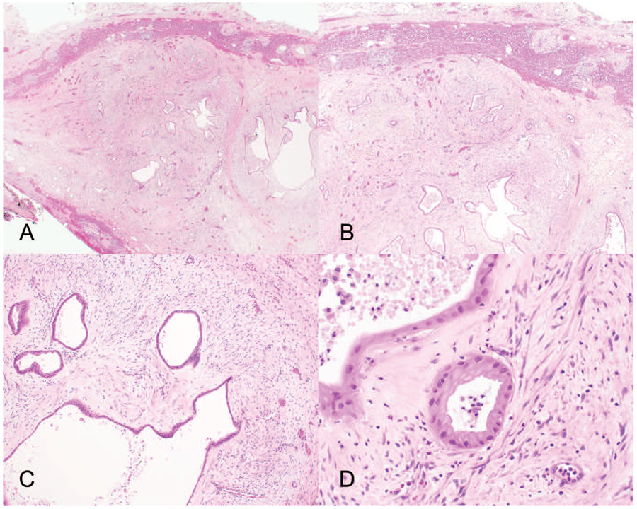 Figure 10.