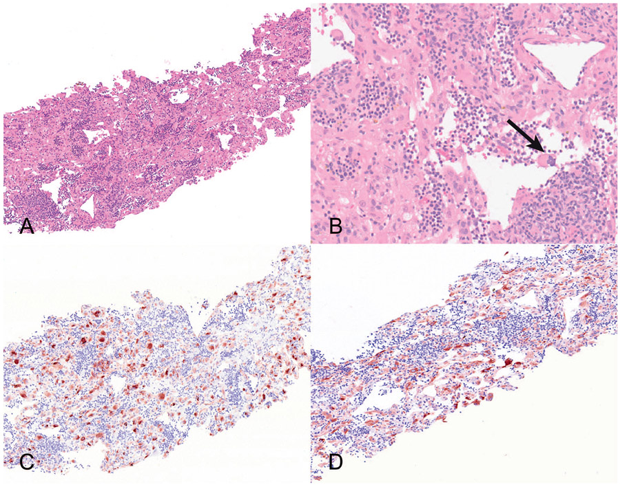 Figure 9.