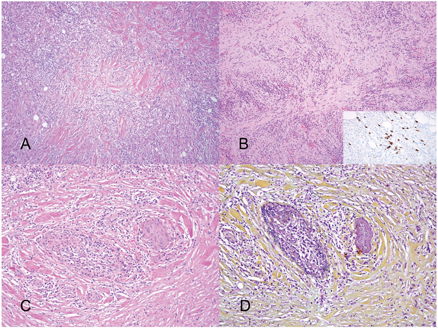 Figure 4.