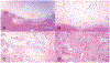 Figure 11.