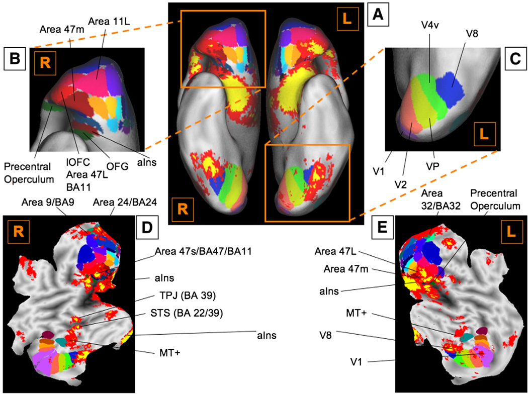 Fig. 6