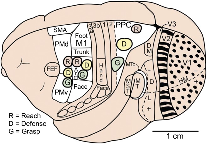 Fig. 1.