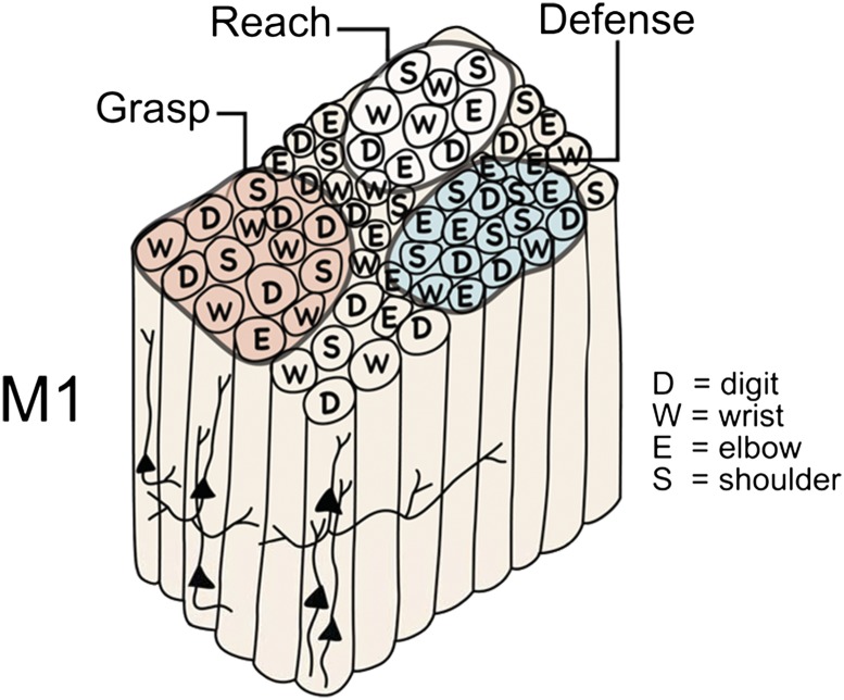 Fig. 4.