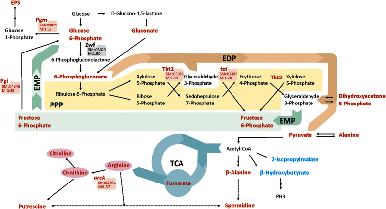 Figure 5