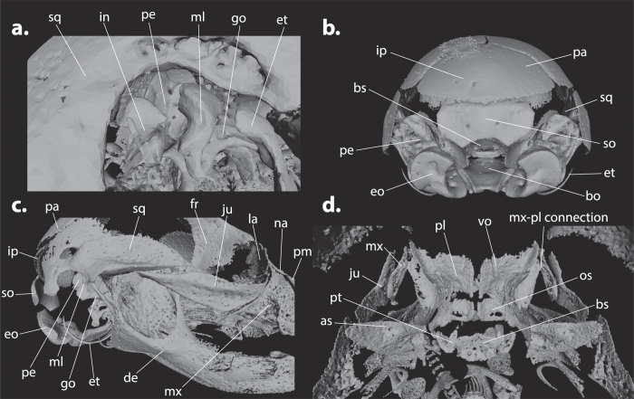 Figure 4